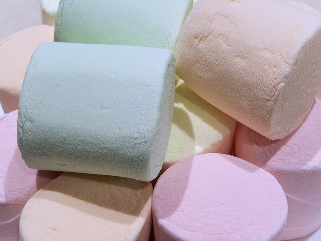 marshmallow test guimauve test